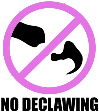 No Declawing Logo pink & black