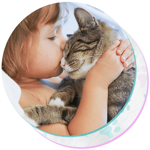 child kissing a cat